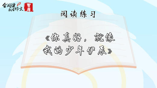 阅读练习：《你真好，就像我的少年伊辰》 商品图0