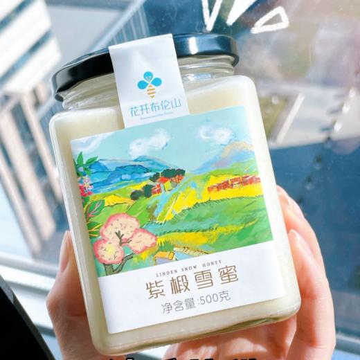 东北黑蜂紫椴雪蜜，蜂蜜 商品图2