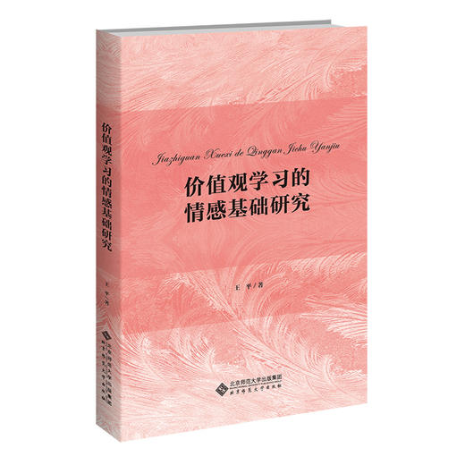 价值观学习的情感基础研究  9787303284658   北京师范大学出版社 商品图0