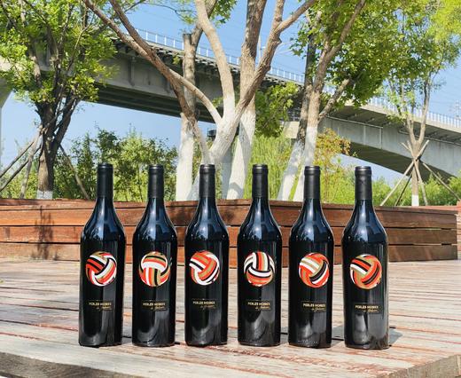 法国超级波尔多特酿干红葡萄酒六支装750ml*6 商品图3