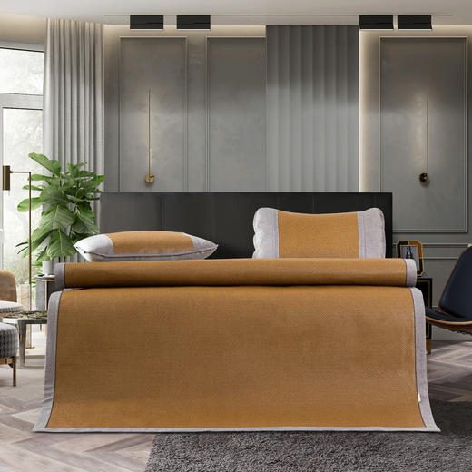 夏凉节特惠 尊享冰麻席 商品图0