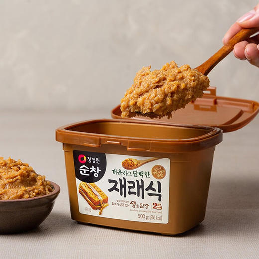 韩国清净园生大酱500g 商品图4