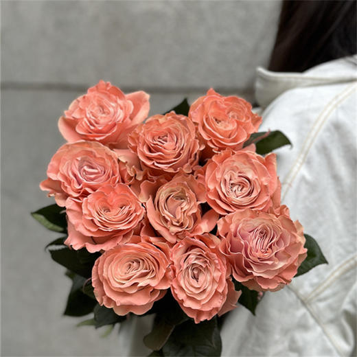 预定厄瓜多尔进口染色Pink ballet 粉红芭蕾玫瑰10支 商品图1