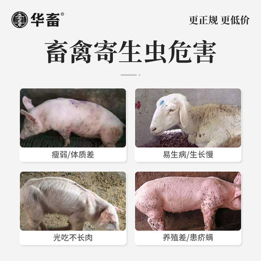 华畜阿苯达唑伊维菌素 体内外驱虫药 鸡牛羊猪药 商品图4