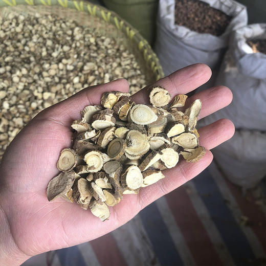 苦参 苦参切片 中大片 商品图3