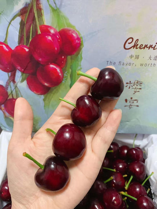【现摘现发】当季2026大连树熟（美早）樱桃 新鲜 健康 多汁 顺丰空运 商品图3
