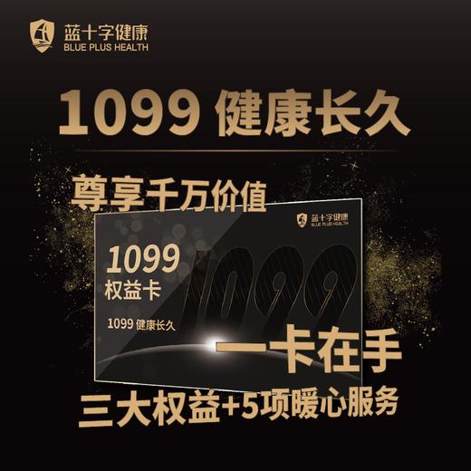 【蓝十字】1099全球药械通 高达1099万的特药用药权益 电子卡 商品图0