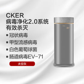 空气净化器 强效杀灭细菌病毒 滤除PM2.5颗粒物 守护全家健康 KXJFA300-A04 太空灰色