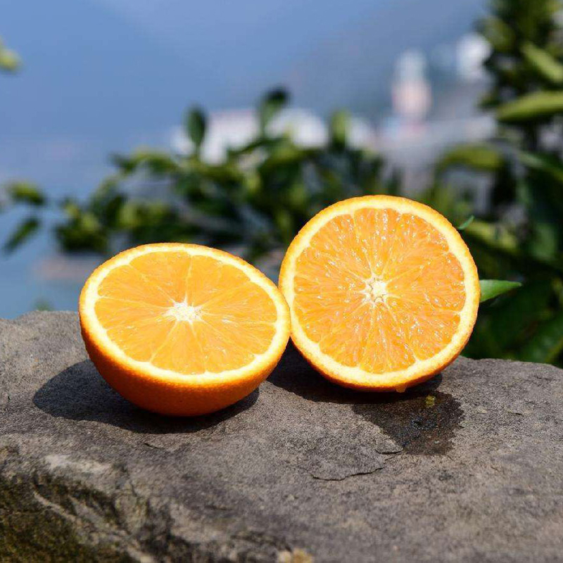 劲逮逮 秭归伦晚脐橙5斤/9斤彩箱装 （果经70mm-80mm） 宜昌