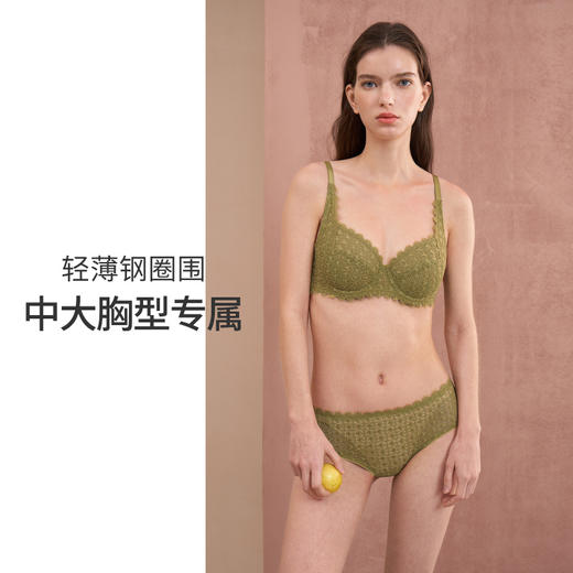 HSIA遐全罩杯内衣轻薄性感菱格纹扇形睫毛蕾丝上托大胸显小文胸 商品图1