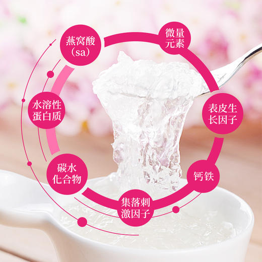 燕之纯燕窝即食孕妇营养品干燕产后日常滋补美容养颜送礼品盒装 浓缩即食燕窝【礼盒装】 商品图5