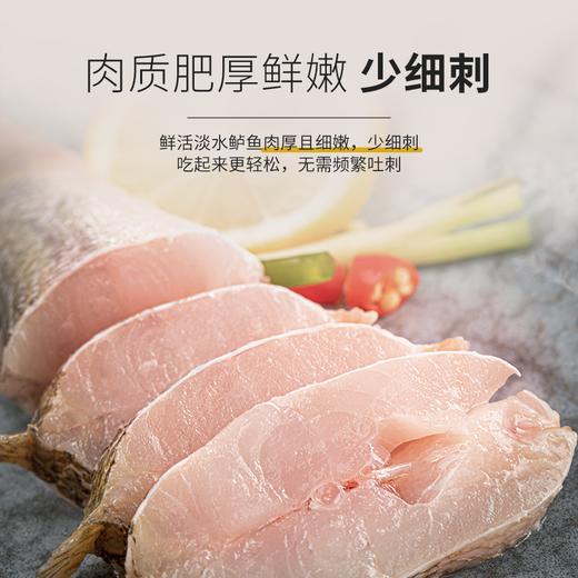 【十堰主城区包邮  次日发货】生鲜肉类 鲜活鲈鱼 商品图3