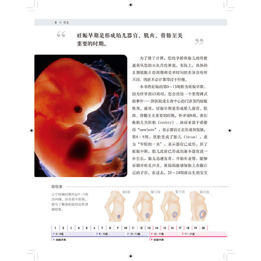DK怀孕圣典（全新修订版） 商品图3
