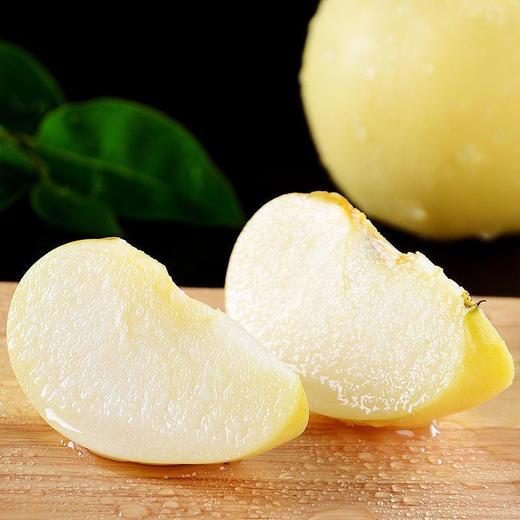 【产地直发！黄金奶油富士苹果】山东烟台维纳斯黄金苹果，甜蜜无渣，脆香可口，多汁味浓，一口甜到心坎里！糖心当季整箱山东栖霞白苹果健康 商品图2