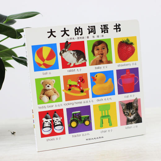 【童立方】大大的启蒙书：大大的词语书 0-6岁中英对照纸板翻翻书 商品图4