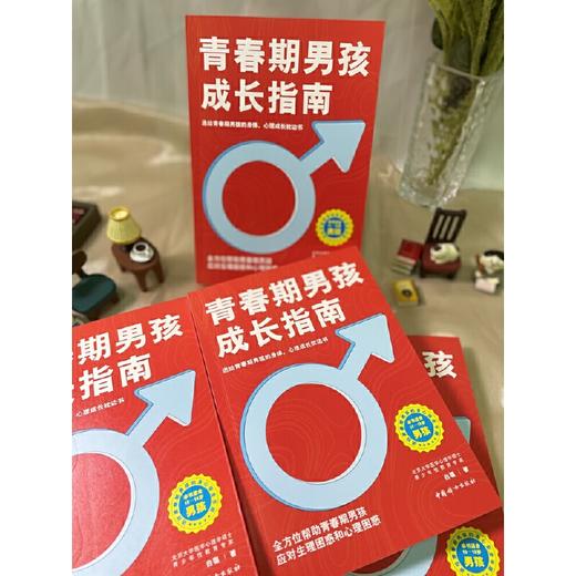 青春期男孩成长指南  白璐著 商品图1