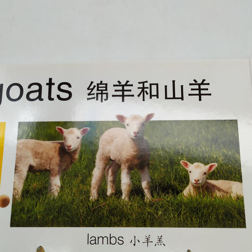 【童立方】大大的启蒙书：大大的农场书0-6岁纸板翻翻书 商品图3