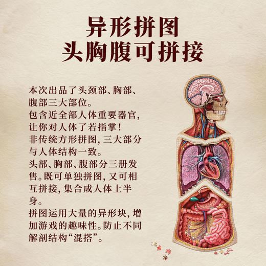 【新品】一刻馆 人体解破学拼图 异形拼图益智桌面游戏 商品图1