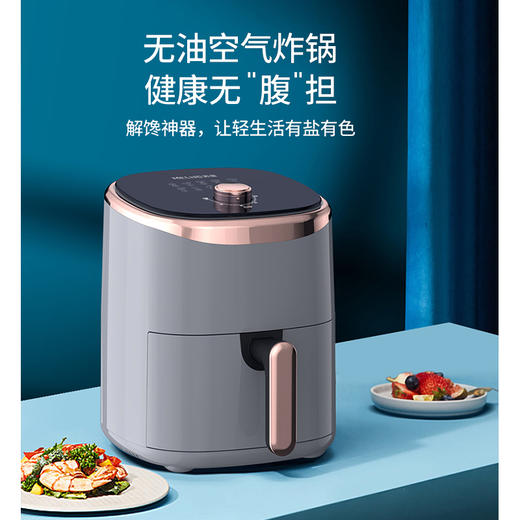 美菱空气炸锅
MTK-LC4507 商品图0