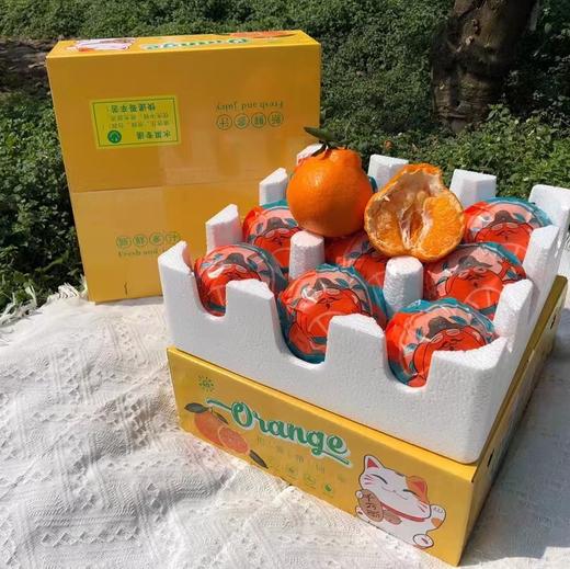 高山树上熟大雅柑礼盒装 商品图0
