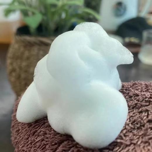 酵辛青蒿洁面慕斯（250ml）（偏远地区不发货） 商品图1