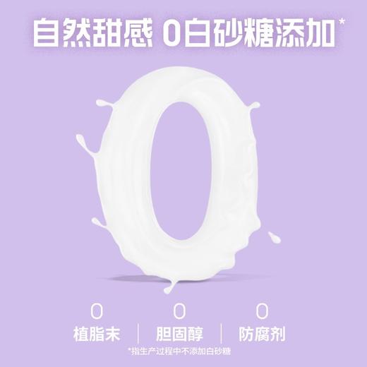 植物标签香芋植物奶250ml 商品图3