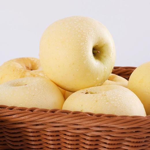 【产地直发！黄金奶油富士苹果】山东烟台维纳斯黄金苹果，甜蜜无渣，脆香可口，多汁味浓，一口甜到心坎里！糖心当季整箱山东栖霞白苹果健康 商品图5