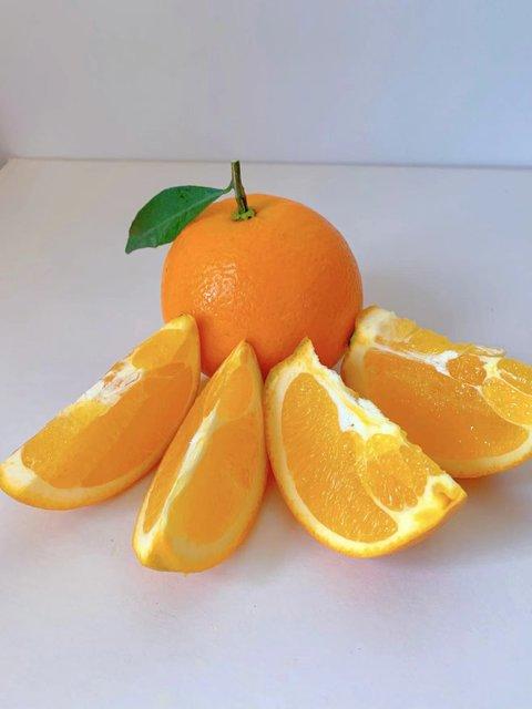 2026新鲜采摘，生态伦晚脐橙来咯！！自然成熟，现摘现发，基地直邮】 商品图1