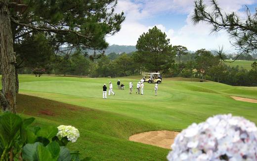 大叻皇宫高尔夫俱乐部 Dalat Palace Golf Club | 越南高尔夫球场 俱乐部 | 大叻高尔夫 商品图8