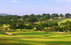 大叻皇宫高尔夫俱乐部 Dalat Palace Golf Club | 越南高尔夫球场 俱乐部 | 大叻高尔夫 商品缩略图0