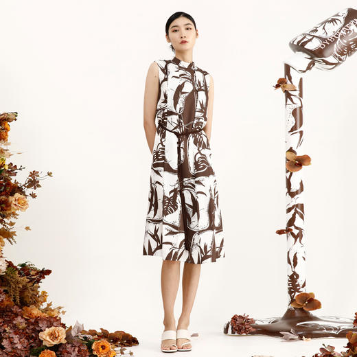 戴布拉芬连衣裙L26B566 商品图0