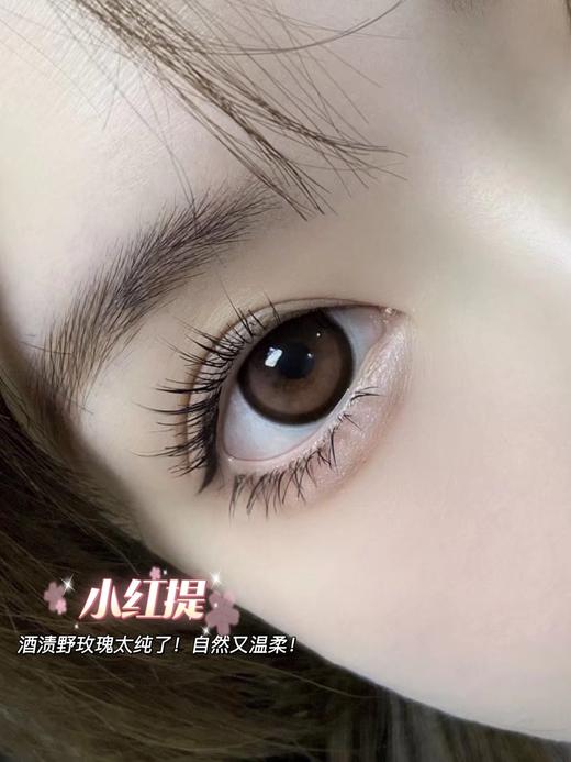 Sntty正品月抛 | 小红提美瞳 | 直径14.5着色13.7 | 韩国产 商品图3