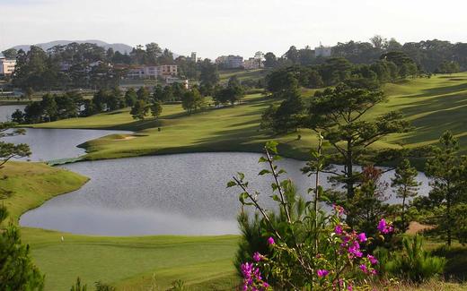 大叻皇宫高尔夫俱乐部 Dalat Palace Golf Club | 越南高尔夫球场 俱乐部 | 大叻高尔夫 商品图1