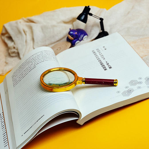 我国西部农村地区0-3岁儿童早期发展研究 儿童早期发展领域10年的探索与实践 商品图6