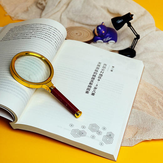 我国西部农村地区0-3岁儿童早期发展研究 儿童早期发展领域10年的探索与实践 商品图7