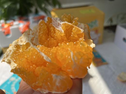 高山树上熟大雅柑礼盒装 商品图3