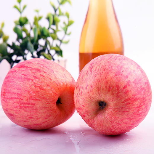 【正宗洛川苹果】顶端果业陕西洛川红富士苹果20枚75mm中果  脆甜多汁 商品图6