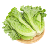 新鲜蔬菜 绿道农场生菜2斤装 商品缩略图0