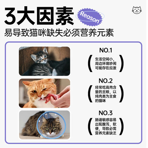 【Ramical雷米高】猫咪专用维生素片多维奶贝营养补钙猫咪易吸收 商品图2
