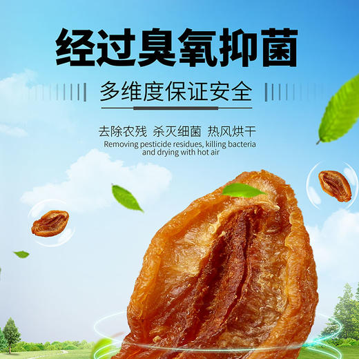 简农牌色买提甜杏肉88g/袋 商品图1