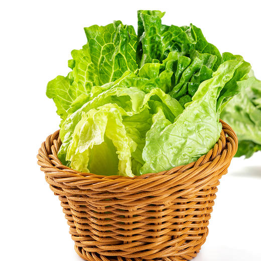 新鲜蔬菜 绿道农场生菜2斤装 商品图1