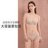 HSIA遐全罩杯内衣轻薄性感菱格纹扇形睫毛蕾丝上托大胸显小文胸 商品缩略图2
