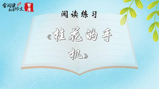 阅读练习：《桂花的手机》 商品图0
