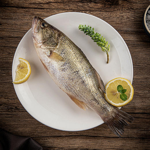 【十堰主城区包邮  次日发货】生鲜肉类 鲜活鲈鱼 商品图1