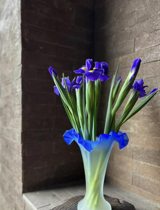 【荷兰进口】紫鸢尾（爱丽丝）约 10支/扎 商品图6