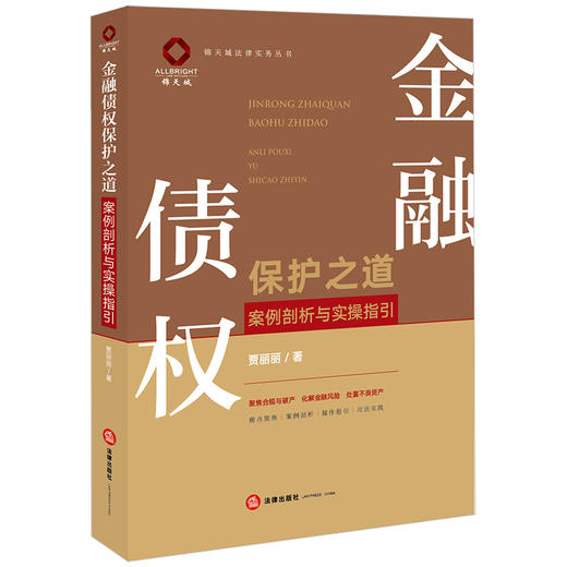 金融债权保护之道：案例剖析与实操指引   贾丽丽著 商品图6