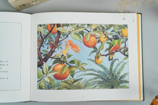 【点读版 礼盒装】《艾莎贝斯克百年经典绘本》全3册 精装 商品图6