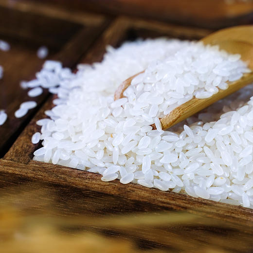 长粒香2.5kg 商品图3