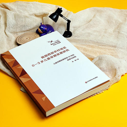 我国西部农村地区0-3岁儿童早期发展研究 儿童早期发展领域10年的探索与实践 商品图8