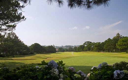 大叻皇宫高尔夫俱乐部 Dalat Palace Golf Club | 越南高尔夫球场 俱乐部 | 大叻高尔夫 商品图6